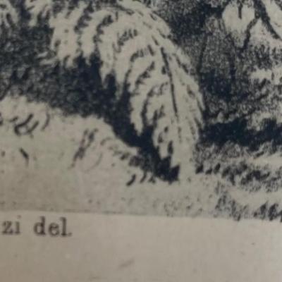 Wagner & McGuigan's Lith, Givara