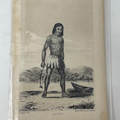 Wagner & McGuigan's Lith, Zaparo