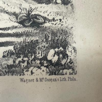 Wagner & McGuigan's Lith, Zaparo