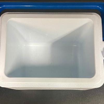 Rubbermaid Tote 6 Cooler