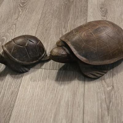 Ironwood Turtles