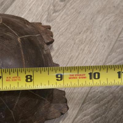Ironwood Turtles