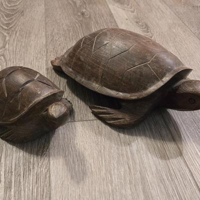 Ironwood Turtles