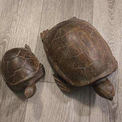 Ironwood Turtles