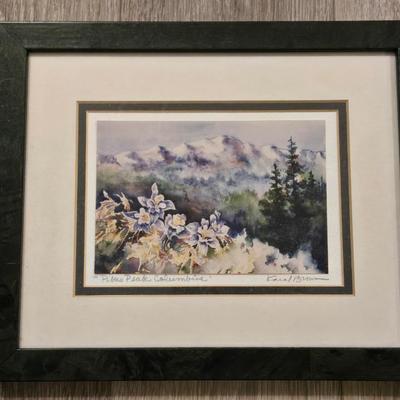 Watercolor 'Pike's Peak Columbine'