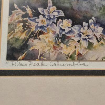 Watercolor 'Pike's Peak Columbine'