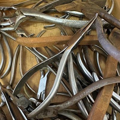 Jewelers Pliers Lot