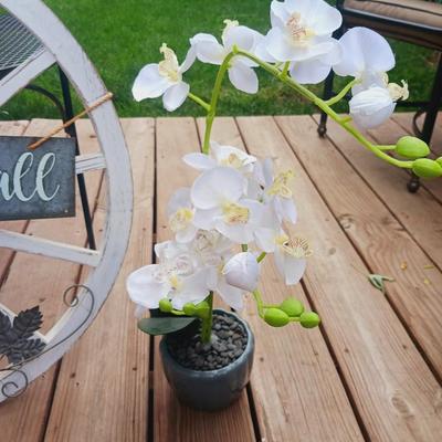 WELCOME FALL SIGN, FAUX FLOWERS AND CLASSIC CARS MULTI-PHOTO FRAMES