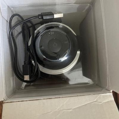 Tiki Torch Wireless Speaker