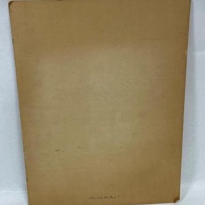 Man o War Horse Head drawing etching