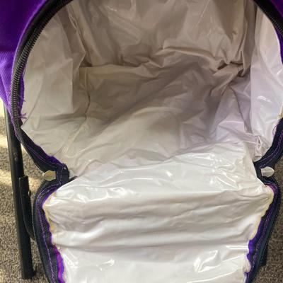 Folding Camp Chair with Underseat Cooler