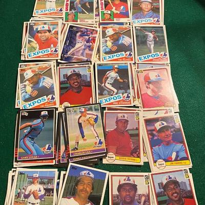 Vintage Expos Cards