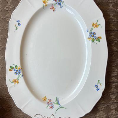 Dinner plates