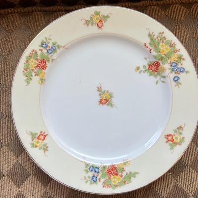 Dinner plates