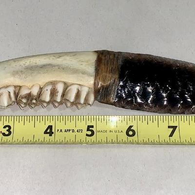 Flintknapped Obsidian Knife W/Jawbone Handle by Dale Duby