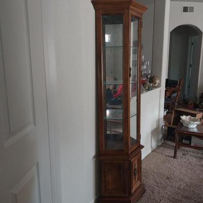 CURIO CABINET WITH LIGHT