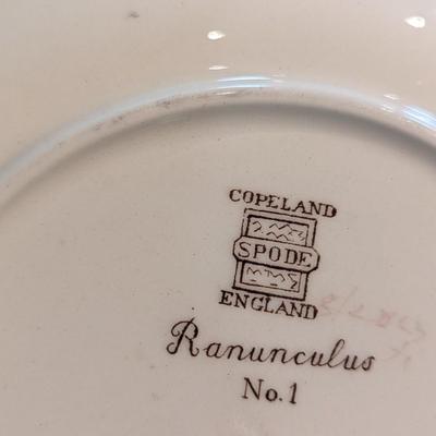 Copeland Spode England Botanical Plates