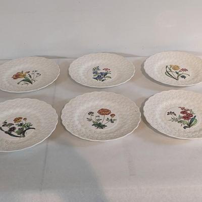 Copeland Spode England Botanical Plates