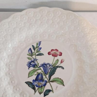 Copeland Spode England Botanical Plates