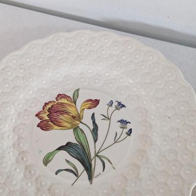 Copeland Spode England Botanical Plates