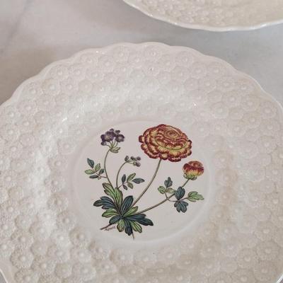Copeland Spode England Botanical Plates