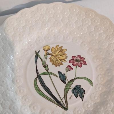 Copeland Spode England Botanical Plates