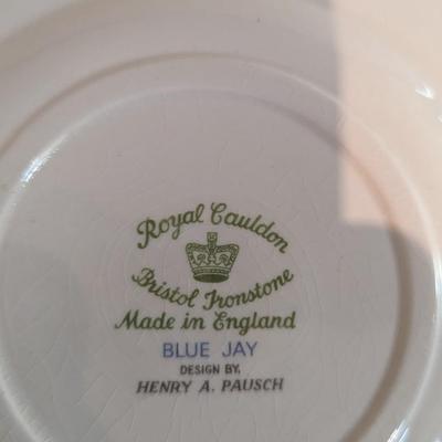 Royal Cauldon Bristol Ironstone Bird Plates Henry A Pausch