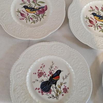 Royal Cauldon Bristol Ironstone Bird Plates Henry A Pausch