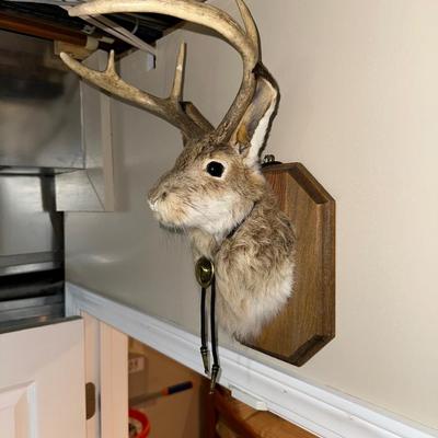 MOUNTED JACKALOPE WITH A BOLO TIE