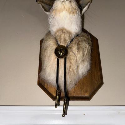 MOUNTED JACKALOPE WITH A BOLO TIE