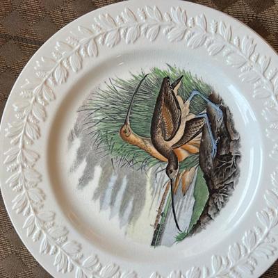 Bird dinner plates