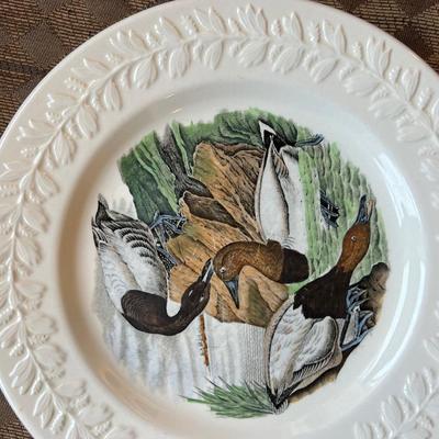 Bird dinner plates