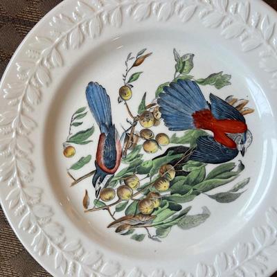 Bird dinner plates