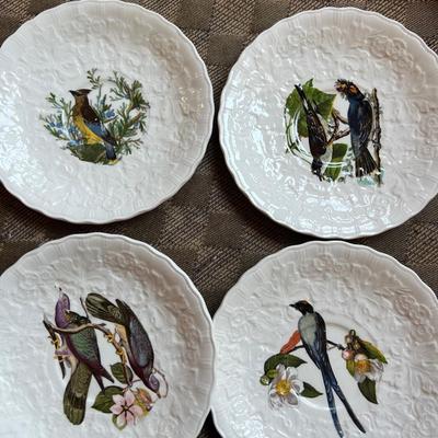 Complete set up Bird Dinner china set of 8