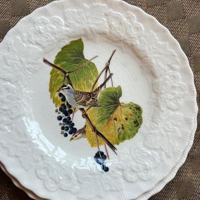 Complete set up Bird Dinner china set of 8