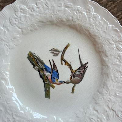 Complete set up Bird Dinner china set of 8