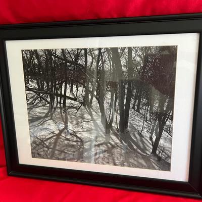 Black and white wall art