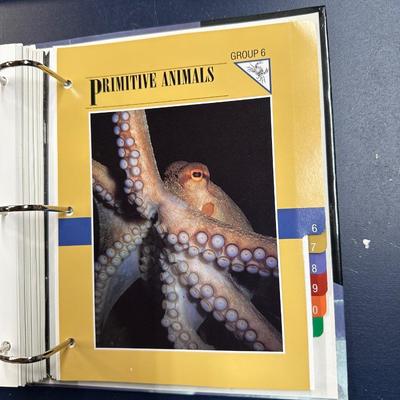 SPORTS AND WILDLIFE FACT BOOKS PLUS DINOSAUR TRADING CARDS