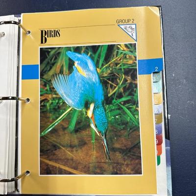 SPORTS AND WILDLIFE FACT BOOKS PLUS DINOSAUR TRADING CARDS