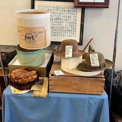 Wool Fedoras, Fur hat, Hat Boxes, 1955 medical framed photos