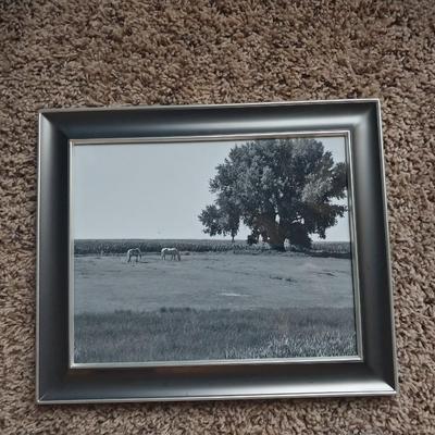 TWO COLLECTABLE MILKING COWS AND FRAMED FIELD