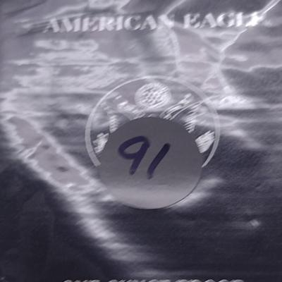 2004 U. S. Mint American Eagle Silver Dollar Proof Coin (#91)