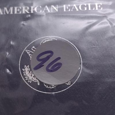 2006 U. S. Mint American Eagle Silver Dollar Proof Coin (#96)