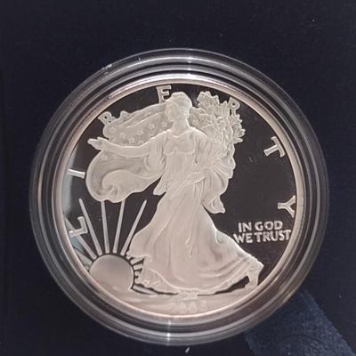 2006 U. S. Mint American Eagle Silver Dollar Proof Coin (#97)