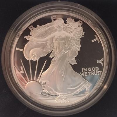 2003 U. S. Mint American Eagle Silver Dollar Proof Coin (#118)