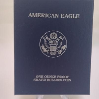 2003 U. S. Mint American Eagle Silver Dollar Proof Coin (#118)