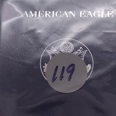 2003 U. S. Mint American Eagle Silver Dollar Proof Coin (#119)