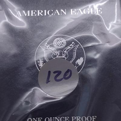 2005 U. S. Mint American Eagle Silver Dollar Proof Coin (#120)