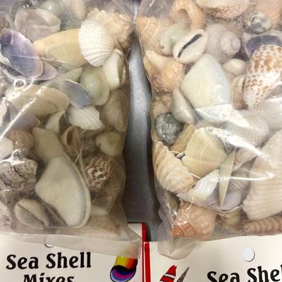 Lot of Packaged Sea Shells 1 pound of Shells for Crafts and Decorating, (4) packages
