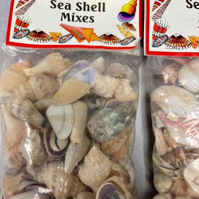 Lot of Packaged Sea Shells 1 pound of Shells for Crafts and Decorating, (4) packages